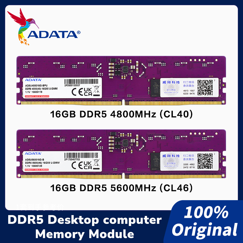ADATA DDR5 288ピン DIMM DRAM モジュ - Ddr5 4800Mhz のレビューと価格