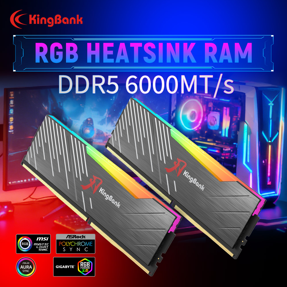 KingBank KRRB DDR5 RGB SoarBla - Ddr5 Kit のレビューと価格