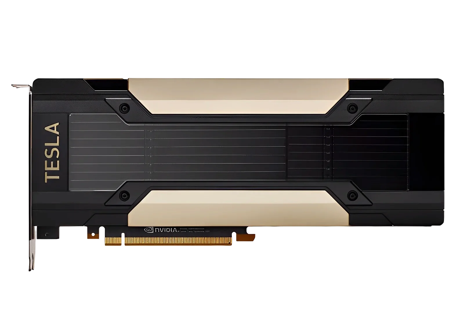 V100/P100/T4/P4/P40/M10/M40 GP - Ddr5 8Gb のレビューと価格